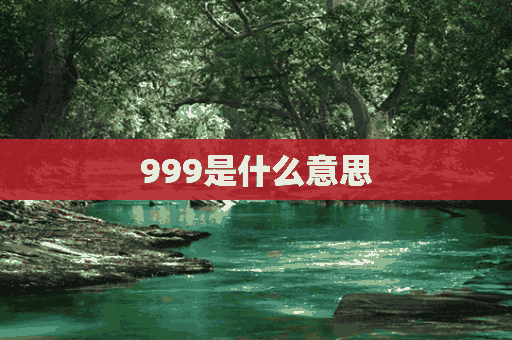 999是什么意思